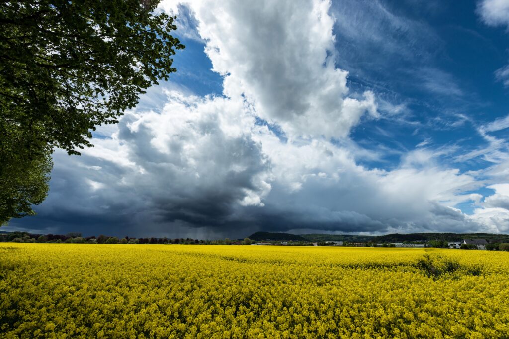 Weather in Germany with dramatic clouds over a bright yellow field and forested hills