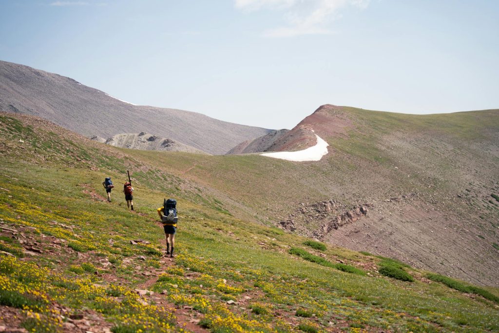 A group of people hiking up a mountain types of hiking