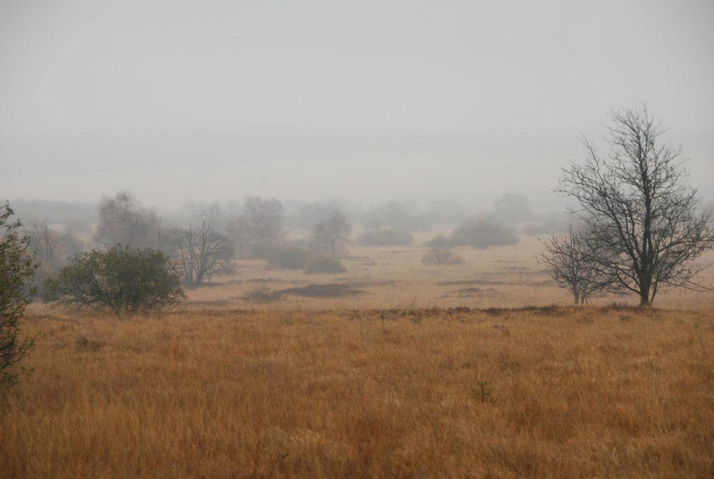 Best time to hike Belgium, High Fens nature reserve, Hiking routes near Brussels