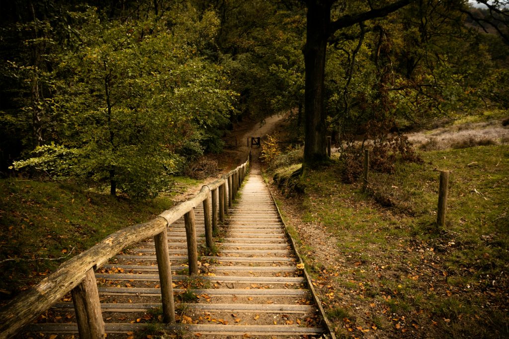 hiking in netherlands
