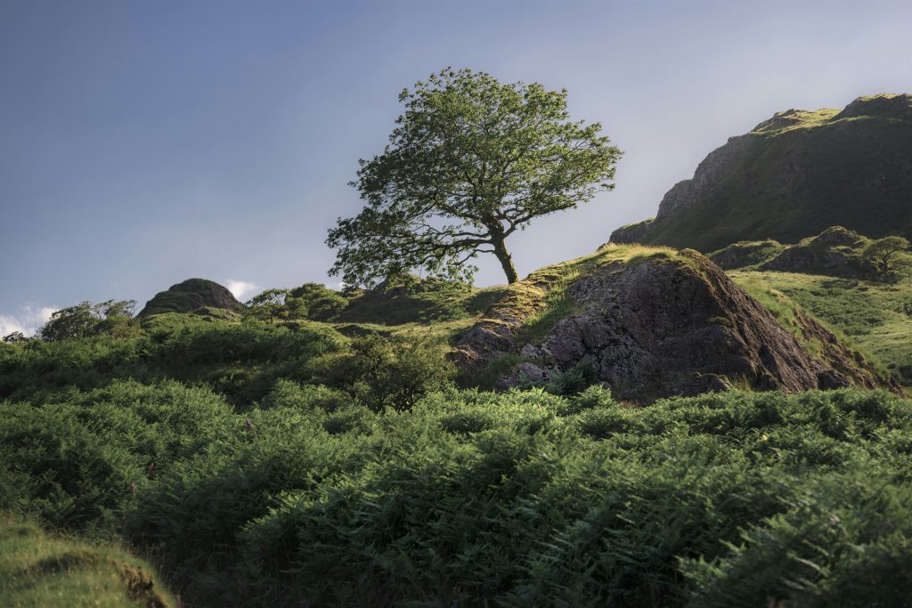 best hikes in wales, Wales hiking trails, Snowdonia hikes