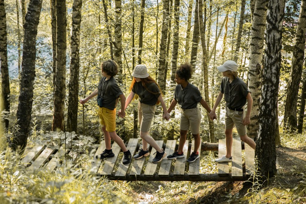 Hiking trail behavior, Wildlife respect guidelines