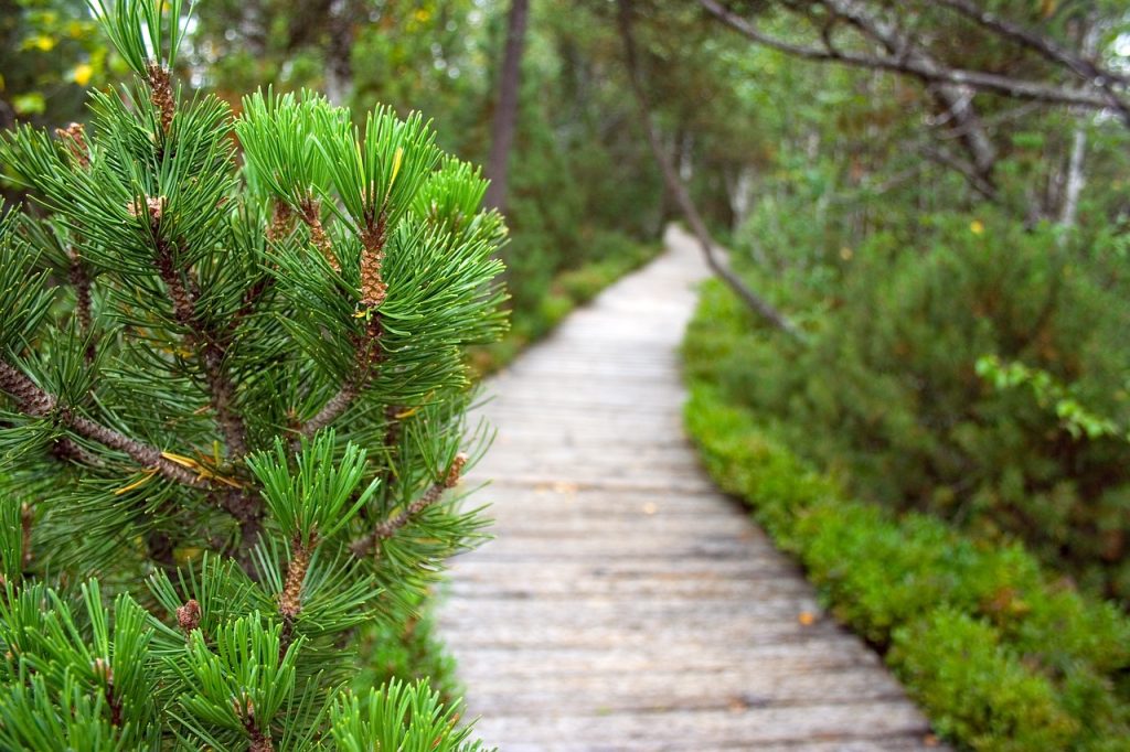 Hiking and camping Belgium, Family-friendly hikes in Belgium