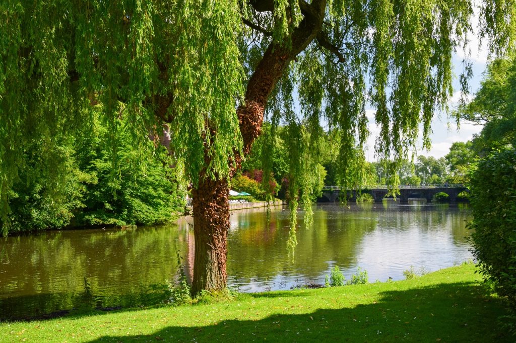 Nature walks in Belgium, Hiking adventures Belgium