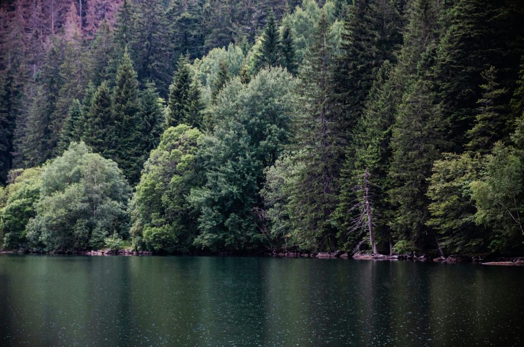 Šumava National Park, best hiking in czech republic