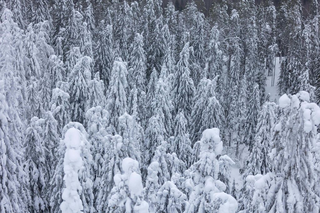 Lapland hiking routes, Finnish wilderness exploration