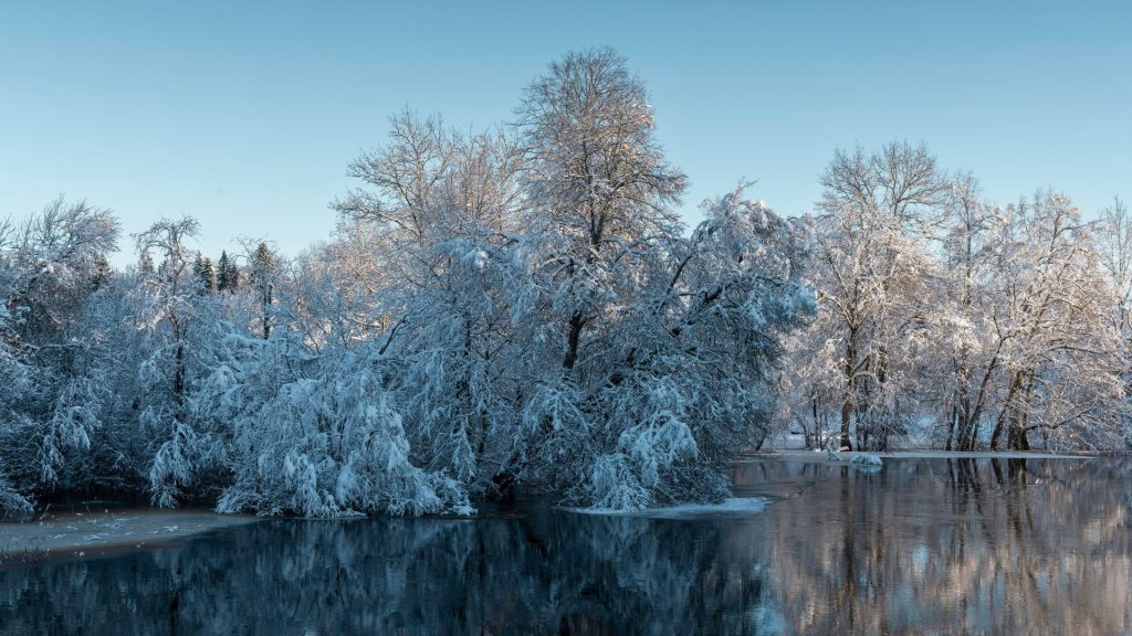 Best Hikes in Estonia, Coastal hikes in Estonia, Estonia hiking guide