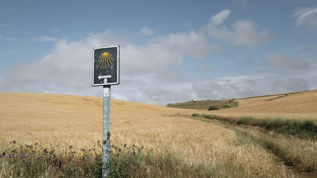 Signpost marking the Camino de Santiago, guiding pilgrims along a wheat field path under a partly cloudy sky.