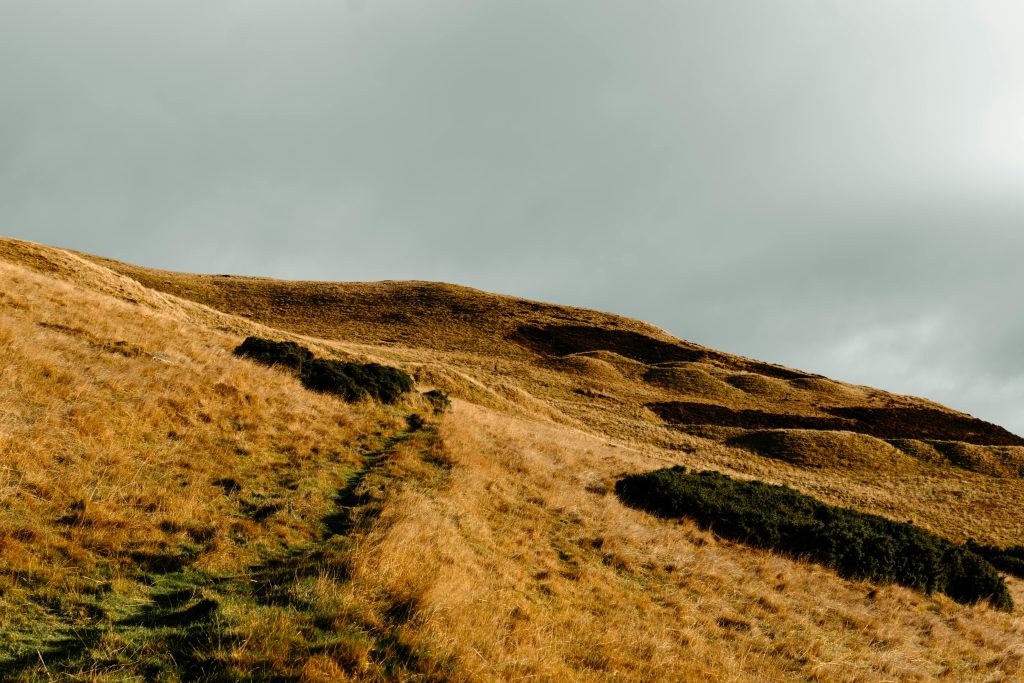 A gentle hiking trail through grassy hills, perfect for hiking for older adults, offering a peaceful and accessible outdoor adventure.