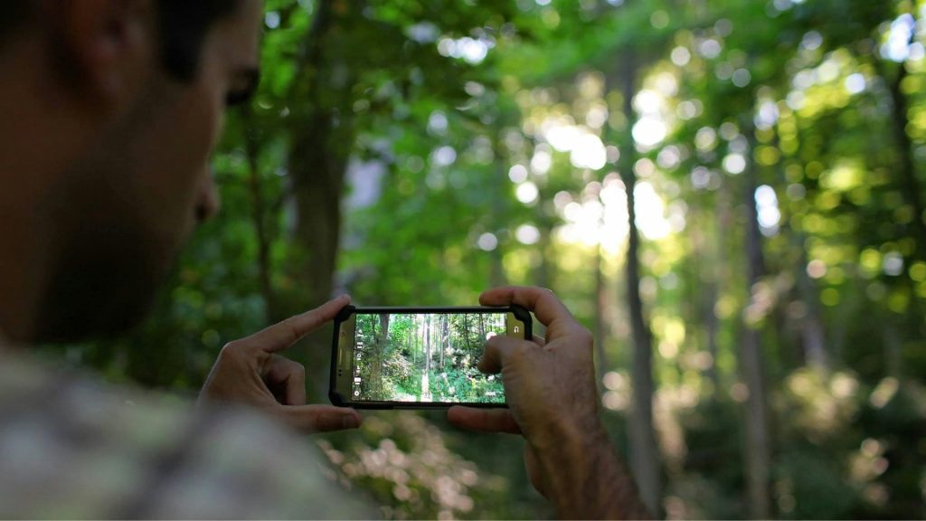 A hiker takes a photo of a lush green forest using a smartphone, capturing the scenic beauty of the hiking trail.