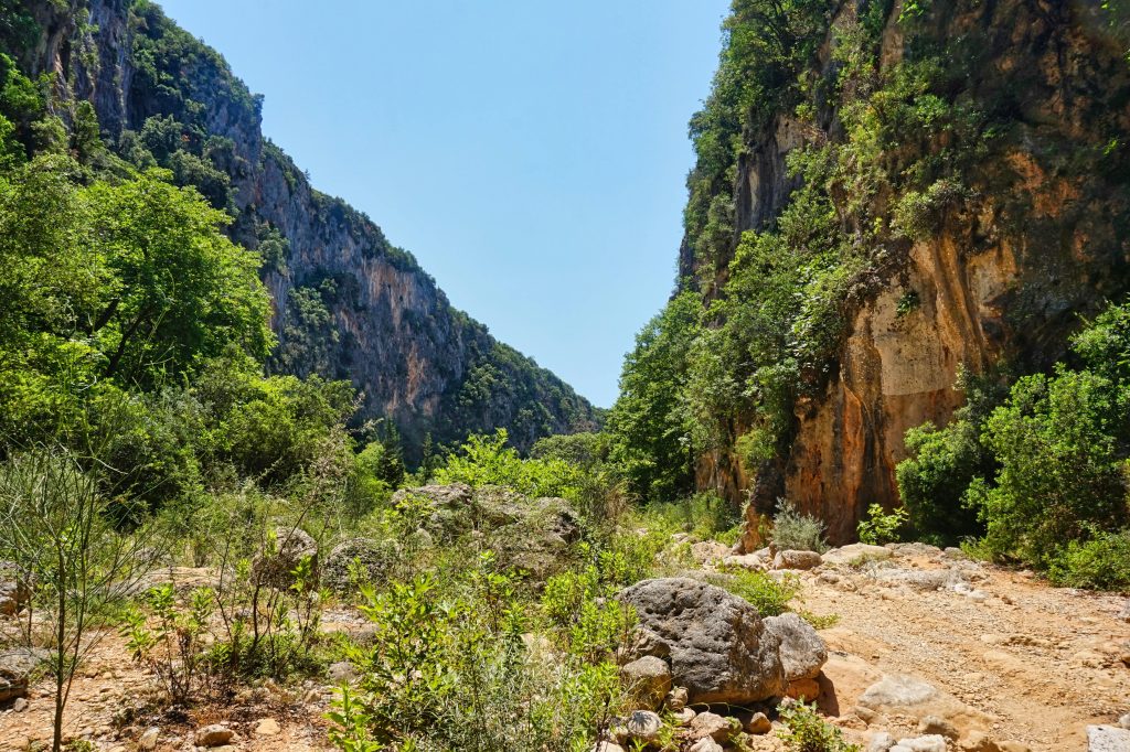 The rugged Gjipe Canyon in Albania, surrounded by lush trees and dramatic cliffs, offers an exciting hiking destination for nature lovers and adventurers.
