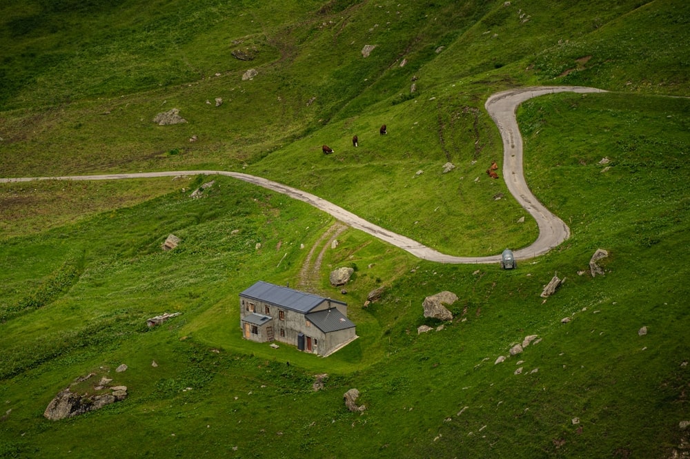Les Chapieux on the TMB trail, with a winding road, a rustic house, and cattle grazing on the green meadows surrounded by mountain slopes.