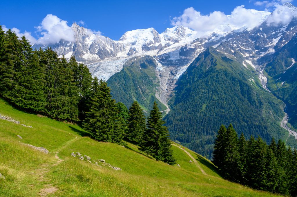 Gorgeous view of the Les Houches Mont Blanc trekking trail, with green meadows, towering trees, and majestic snow-covered peaks in the background.