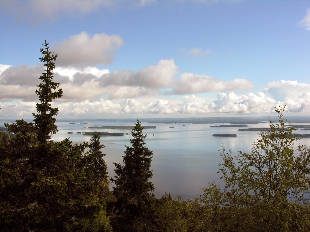 Scenic view from a ridge overlooking Lake Pielinen and forested islands, a highlight of Koli National Park trails in Finland.