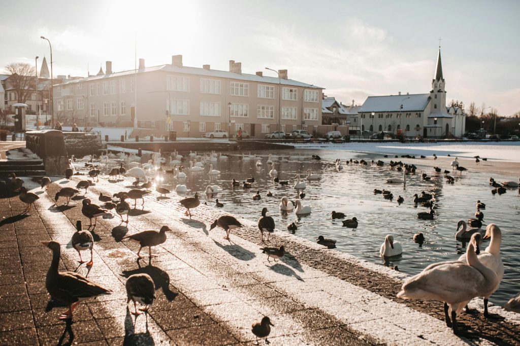 Reykjavík