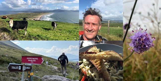 Hilltop Treks hike above Dingle Peninsula with coastal views, trail signs, wildflowers, local food, and guides.