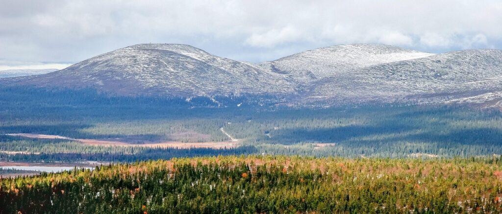 Snow-dusted fells rising above endless pine forests in northern Finland, a breathtaking view along Lapland hiking trails.