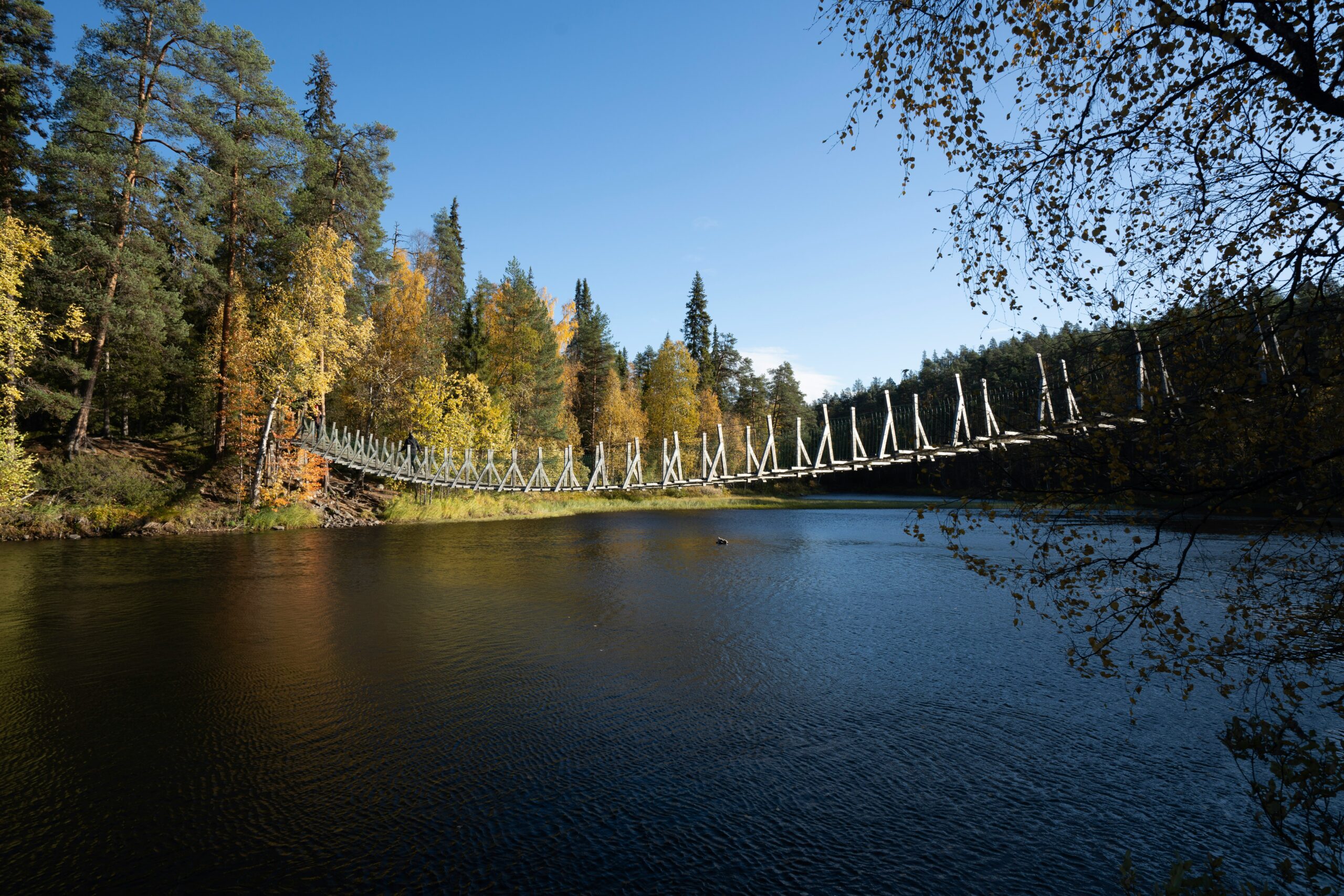 Suspension bridge over a calm river surrounded by autumn forest in Oulanka National Park, a top destination for multi-day hiking in Finland.