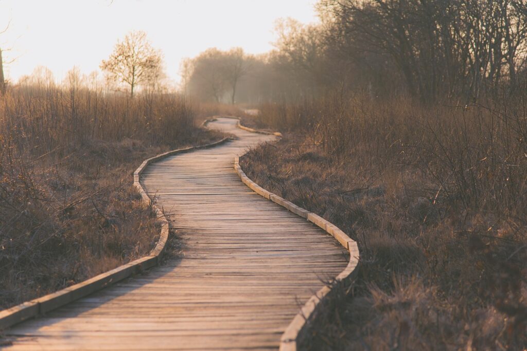 Curved wooden boardwalk trail through wetlands at sunrise, a peaceful route for Finland wilderness hikes and nature exploration.