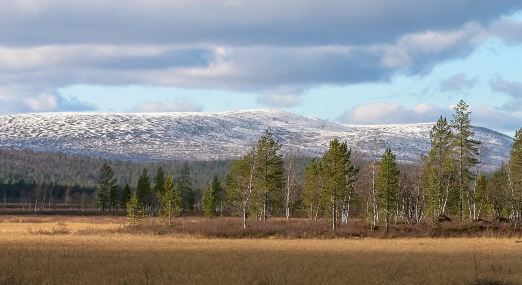 Snow-dusted mountains and pine forests in Lapland, a stunning landscape popular for Finland hiking trails and outdoor adventures