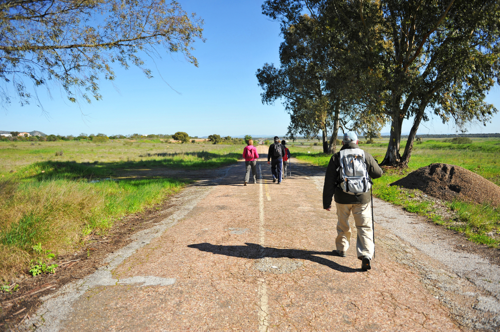 camino routes: Via de la Plata