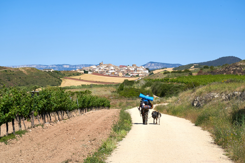 scenary on the camino routes