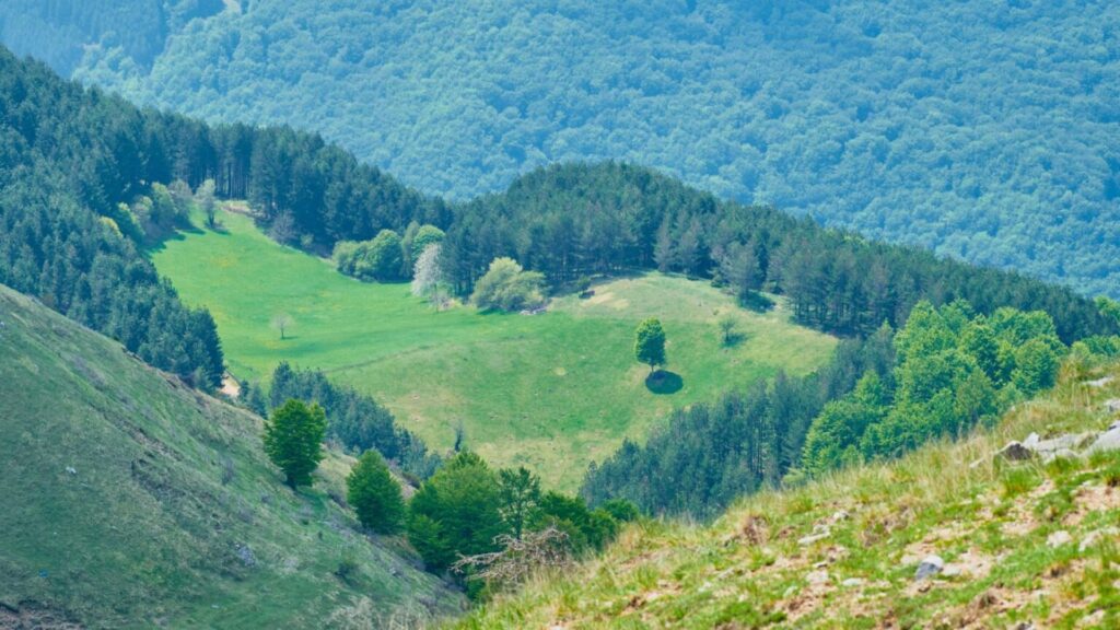 Scenic hiking trails near Tirana with lush green hills and forested mountain views, ideal for the best hikes in Tirana.