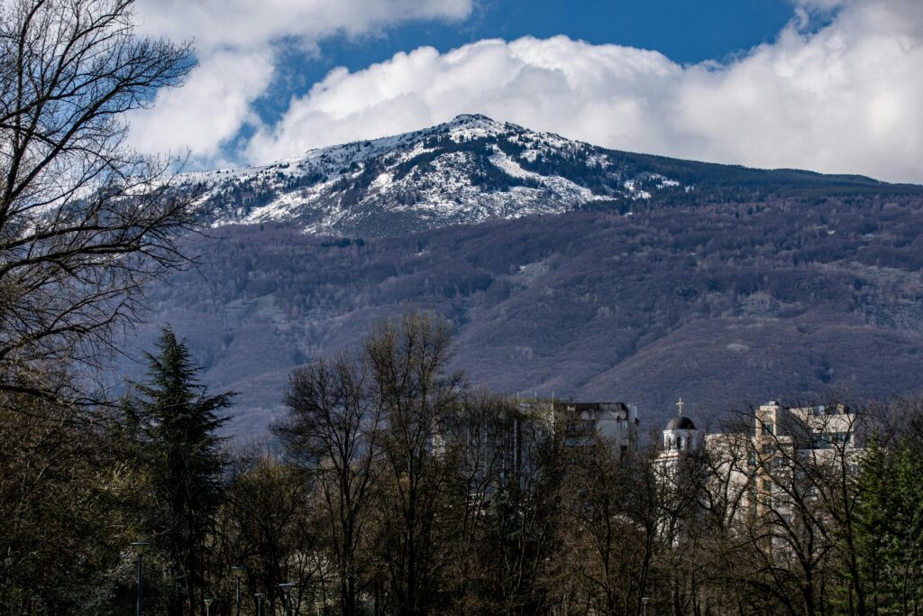 Snowy mountain peak with forested slopes, foreground leafless trees, and a small town at the base under a blue sky with clouds.