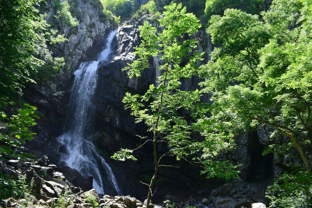 Boyana Waterfall Trail surrounded by lush forest and cascading waterfall, one of the most scenic hikes near Sofia