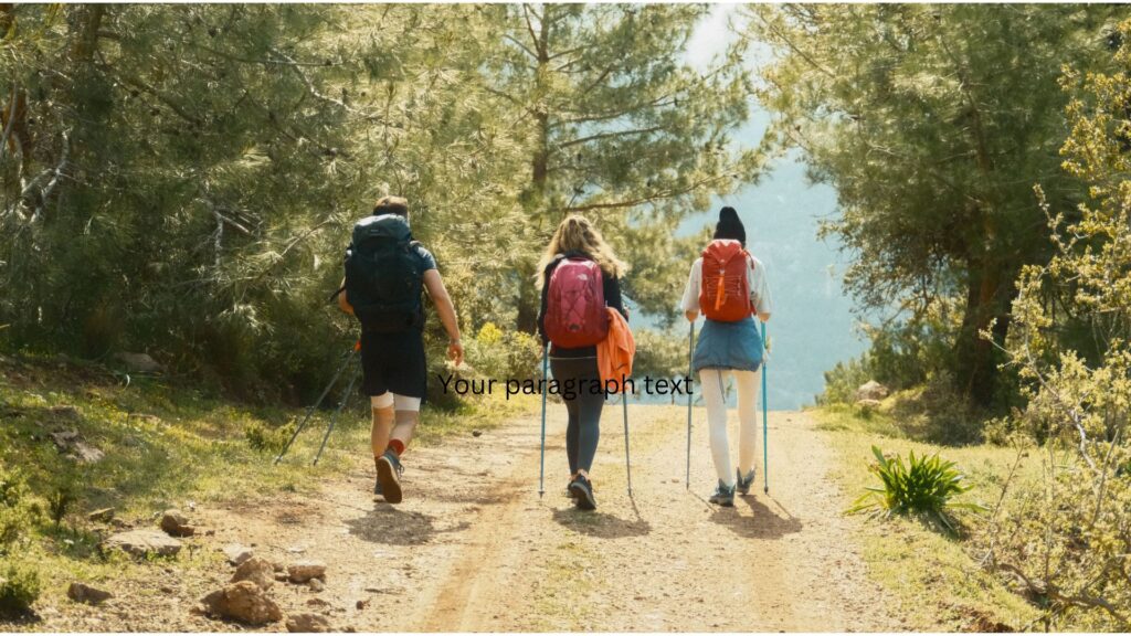 Hikers exploring a forest track with trekking poles and day packs, ideal for a Buyers GuideDay Packs.
