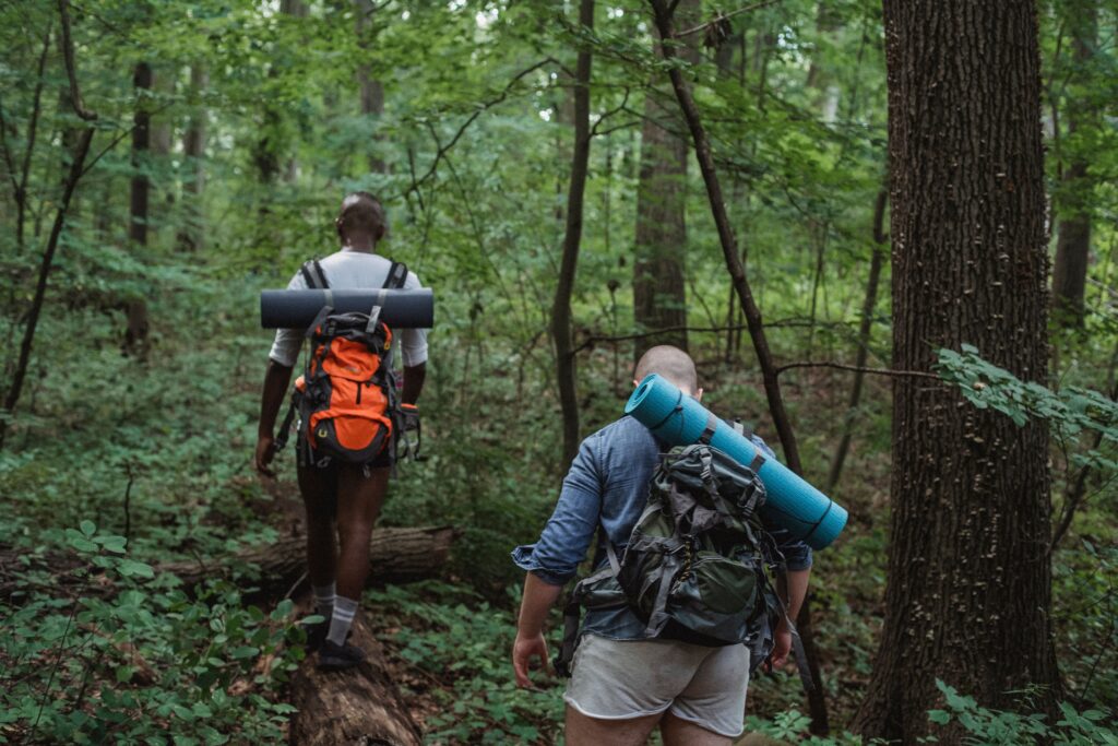 Hikers with backpacks on a forest trail, highlighting back panel padding care, maintenance and lifespan for hiking gear.