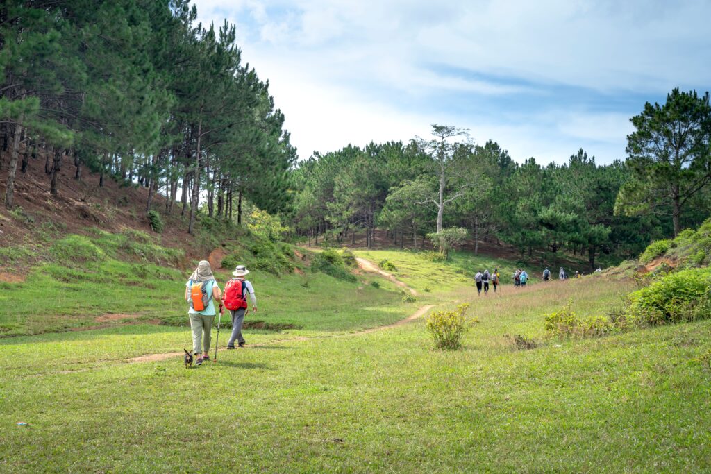 Hikers with backpacks crossing a scenic meadow and pine forest trail during long day hikes in nature.