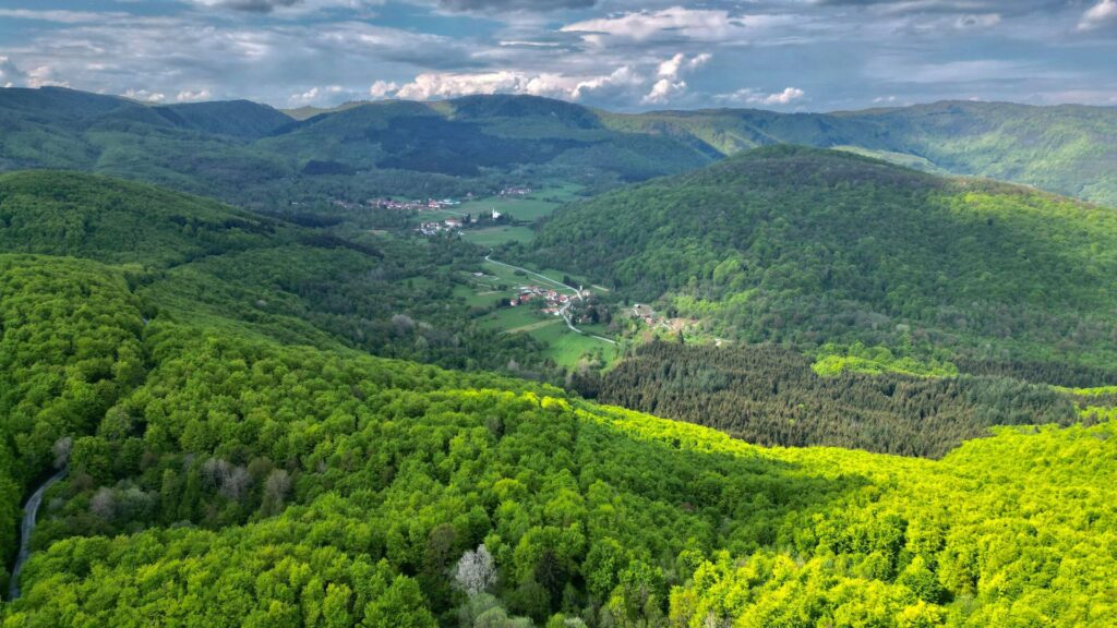Panoramic forest landscape showcasing the best hikes in Zagreb with rolling green hills, valleys, and scenic viewpoints.
