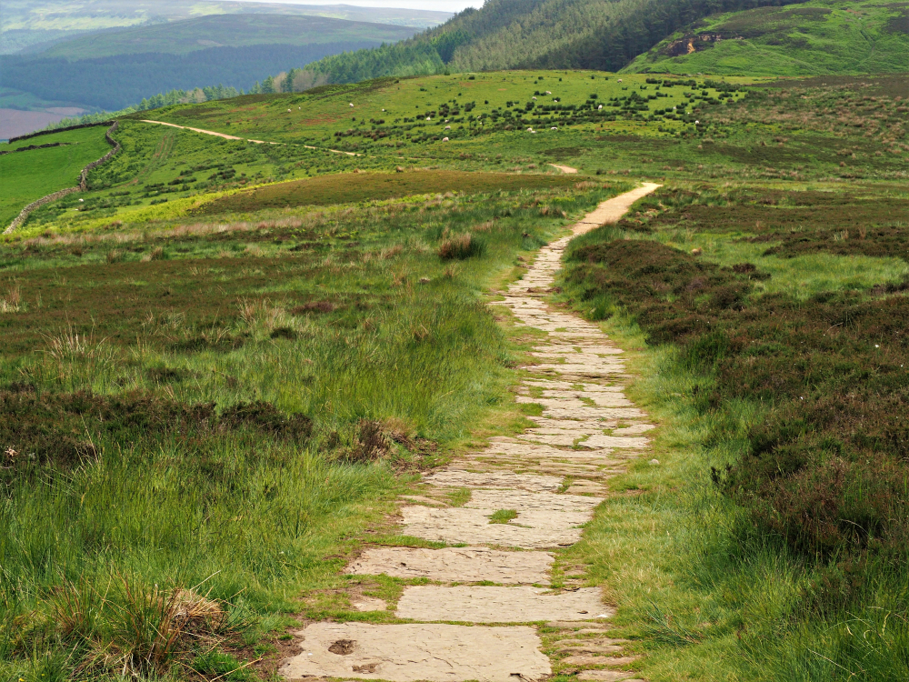 ClevelandWayFootpathNearOsmotherleyInTheNorthYorkMoors Kayde Parker Walking path across green hills on the Cleveland Way in the North York Moors National Park