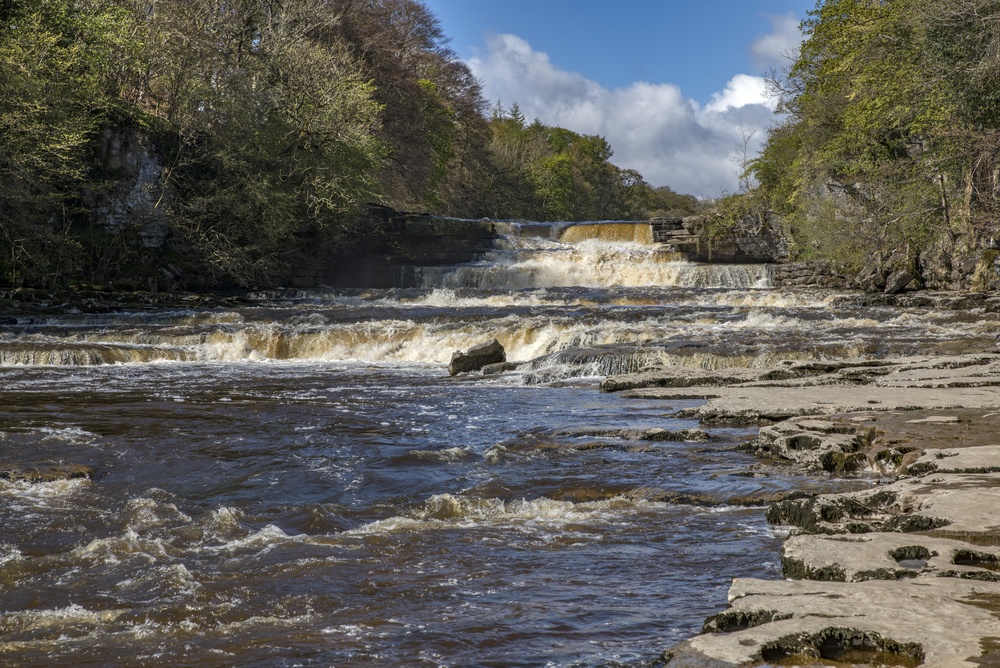 Cascading waterfalls at Aysgarth Falls Yorkshire flowing over limestone steps in the Yorkshire Dales National Park.