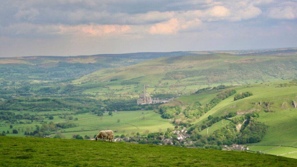 Sheep grazing on a green hillside overlooking a valley with fields and a small village in the distance under a cloudy sky