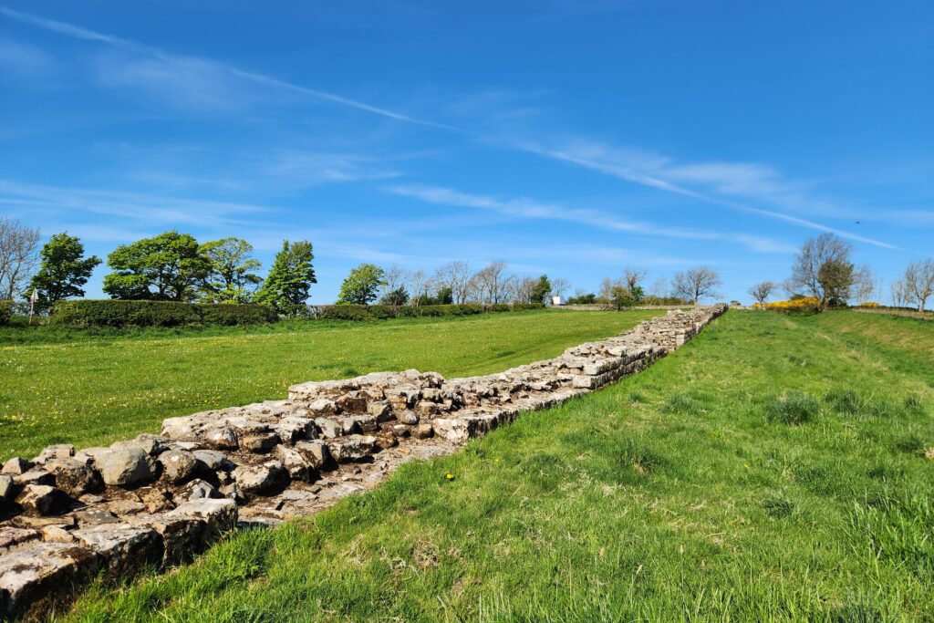 Chollerford Once Brewed 1 Kayde Parker Winding dry stone wall across a grassy field under a clear blue sky with trees in the distance