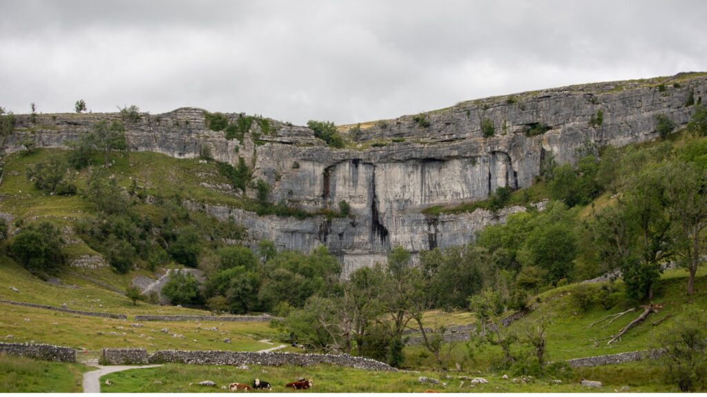 Best Yorkshire Dales National Park Walks through a scenic limestone valley with stone walls and lush countryside