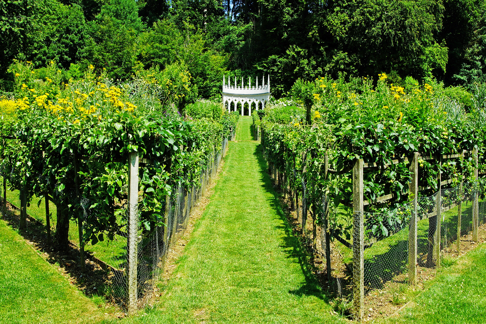 Painswick Rococo Garden Walk