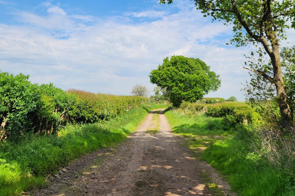 Walton to Carlisle 1 Kayde Parker Country lane and farmland on the Hadrian's Wall walk towards Carlisle