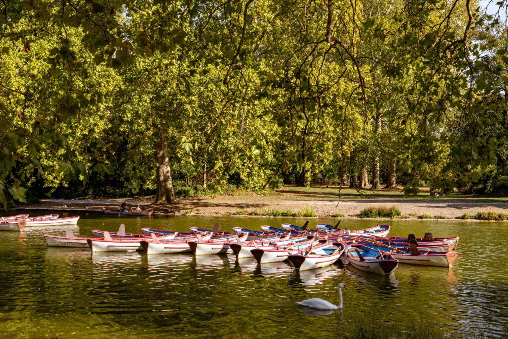 Bois de Vincennes Paris with colorful rowboats on a peaceful lake surrounded by trees