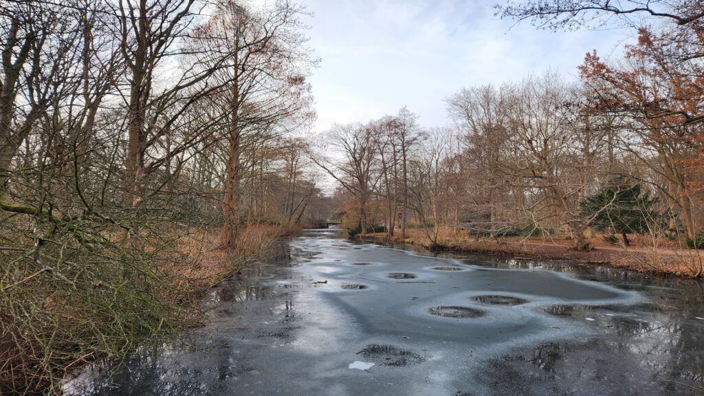 A partially frozen river winds through a bare branch winter forest with leafless trees on both banks