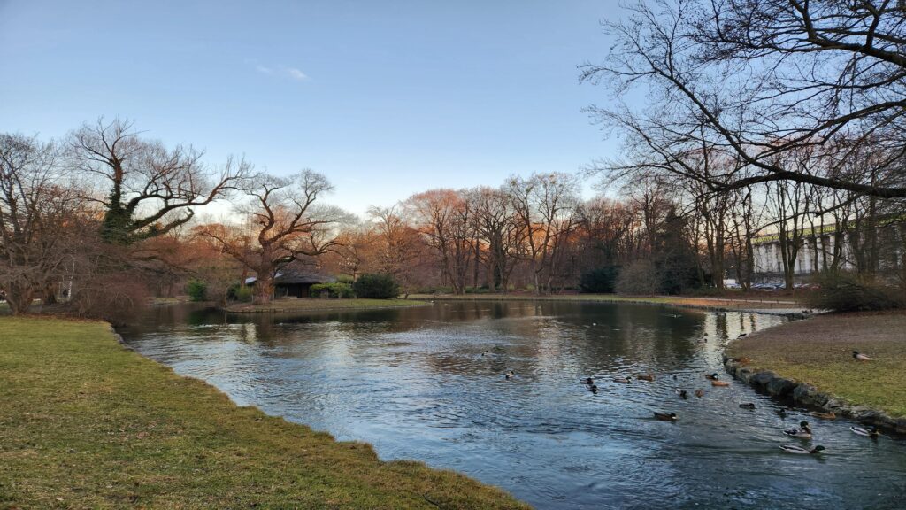 Hiking in Munich through the Englischer Garten beside a peaceful park pond